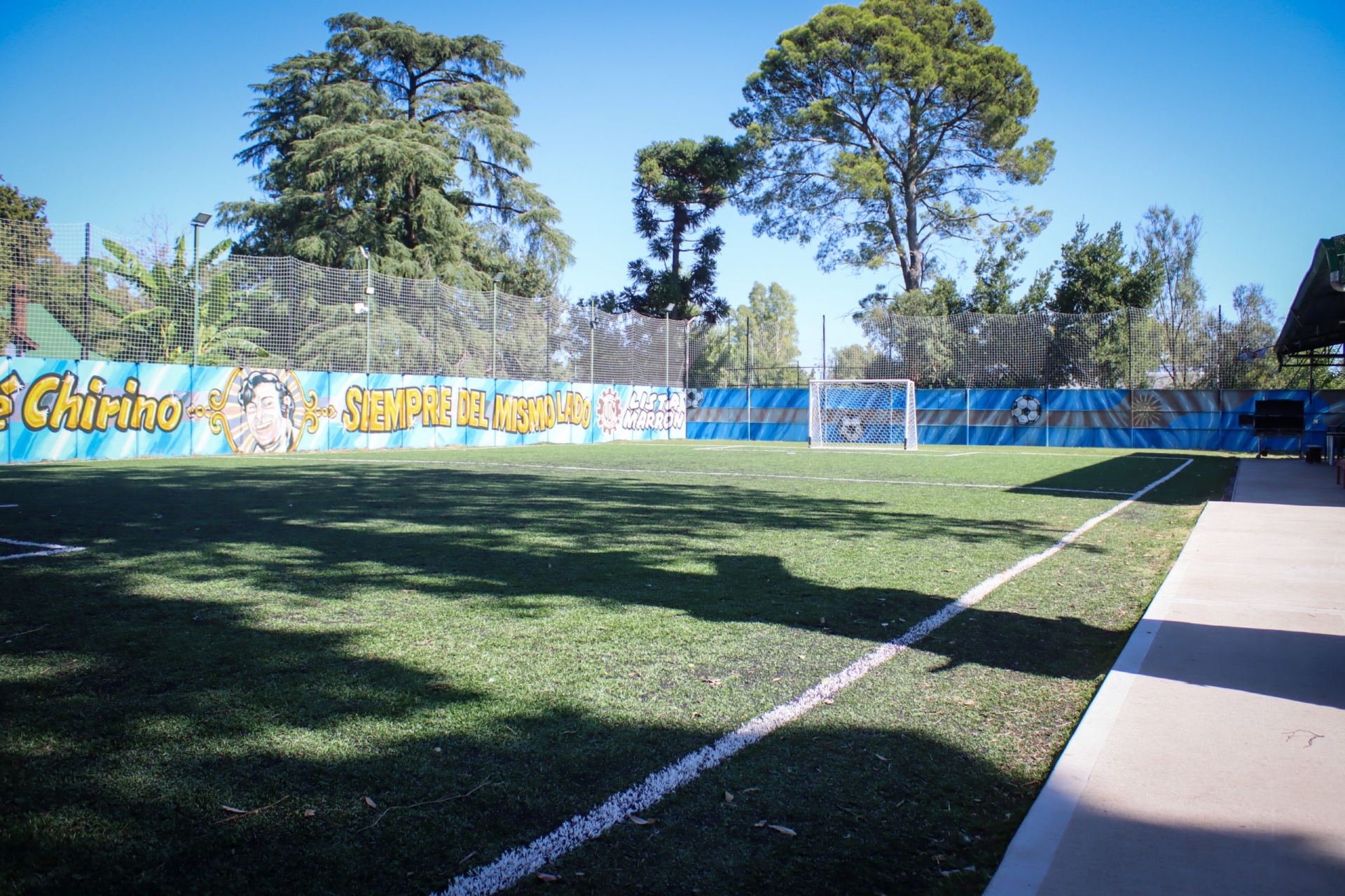 Bosque - foto 6