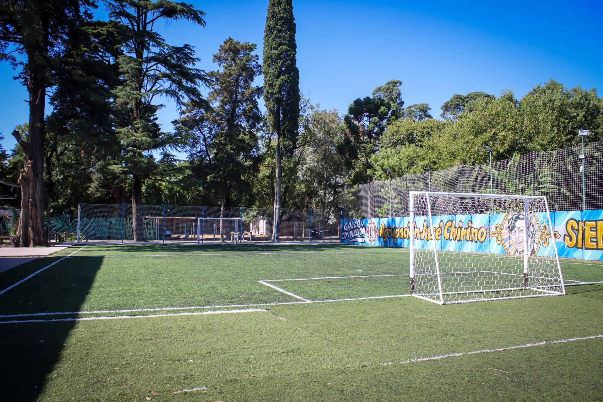 Fútbol 5 sintético