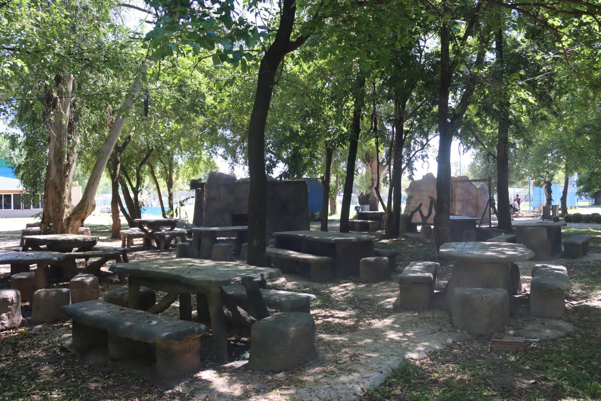Bosque - foto 7